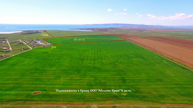 5га у моря ИЖС Крым Феодосия 8млн руб. Пляж с мелким золотым песком