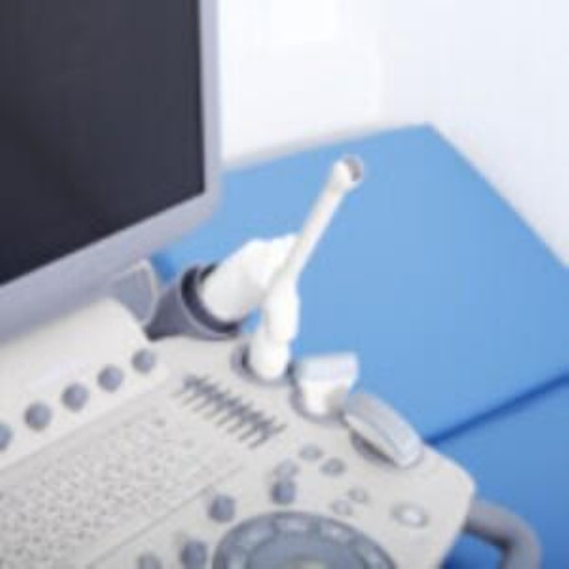 ��� ������ ���� � �����-���������� 1900 �.