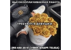 Высокооплачиваемая работа, нужны девушки